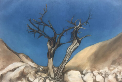 Twin woods par Paulina Wong, Peinture en vente sur Singulart