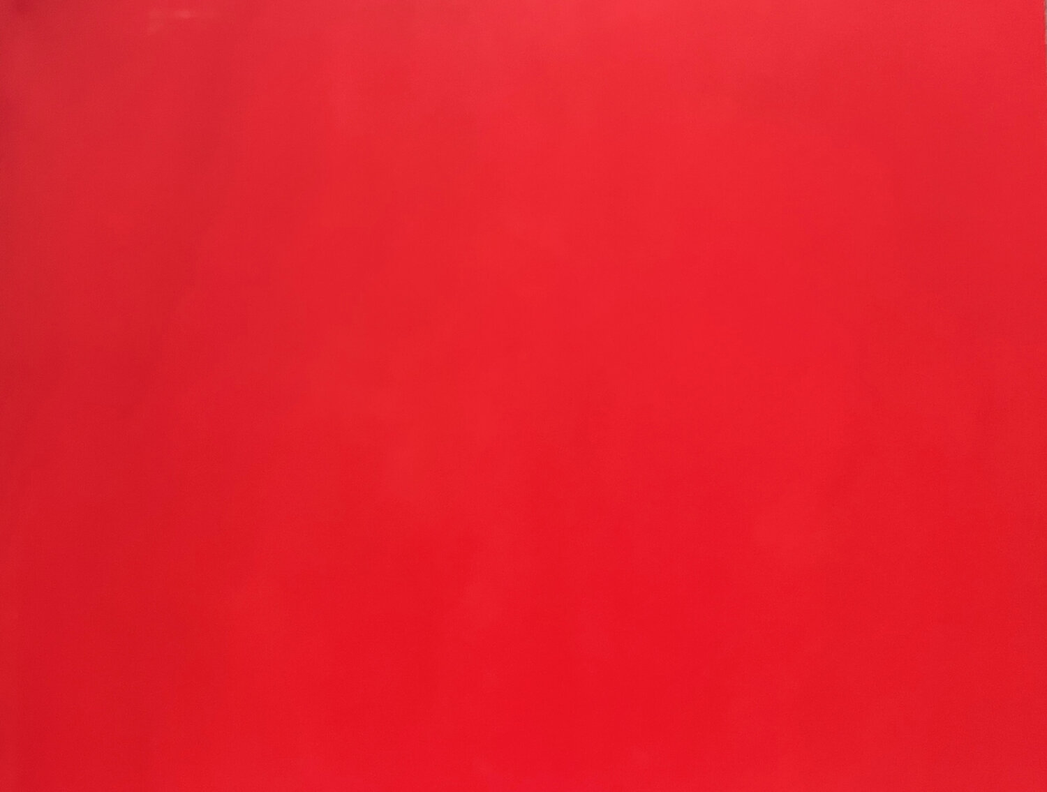 Red Paulina Wong