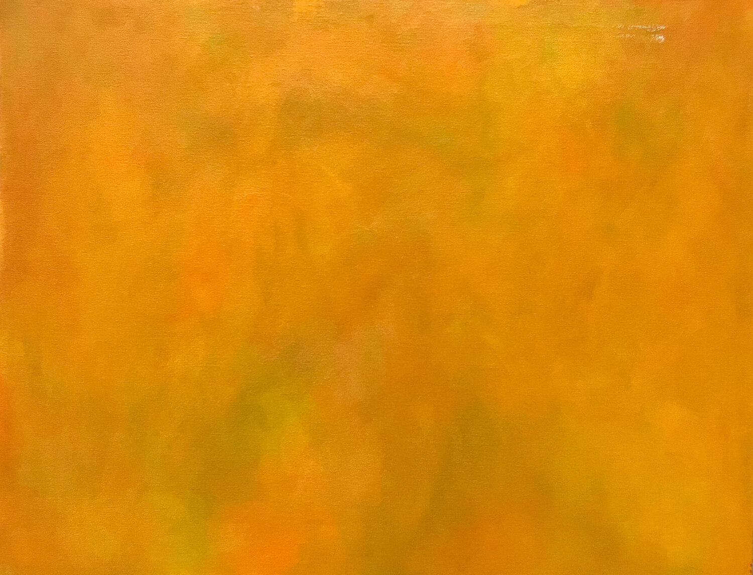 Orange Paulina Wong