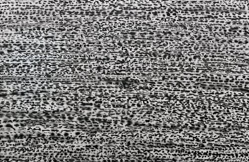 White noise Kamile Lukrecija Lukosiute