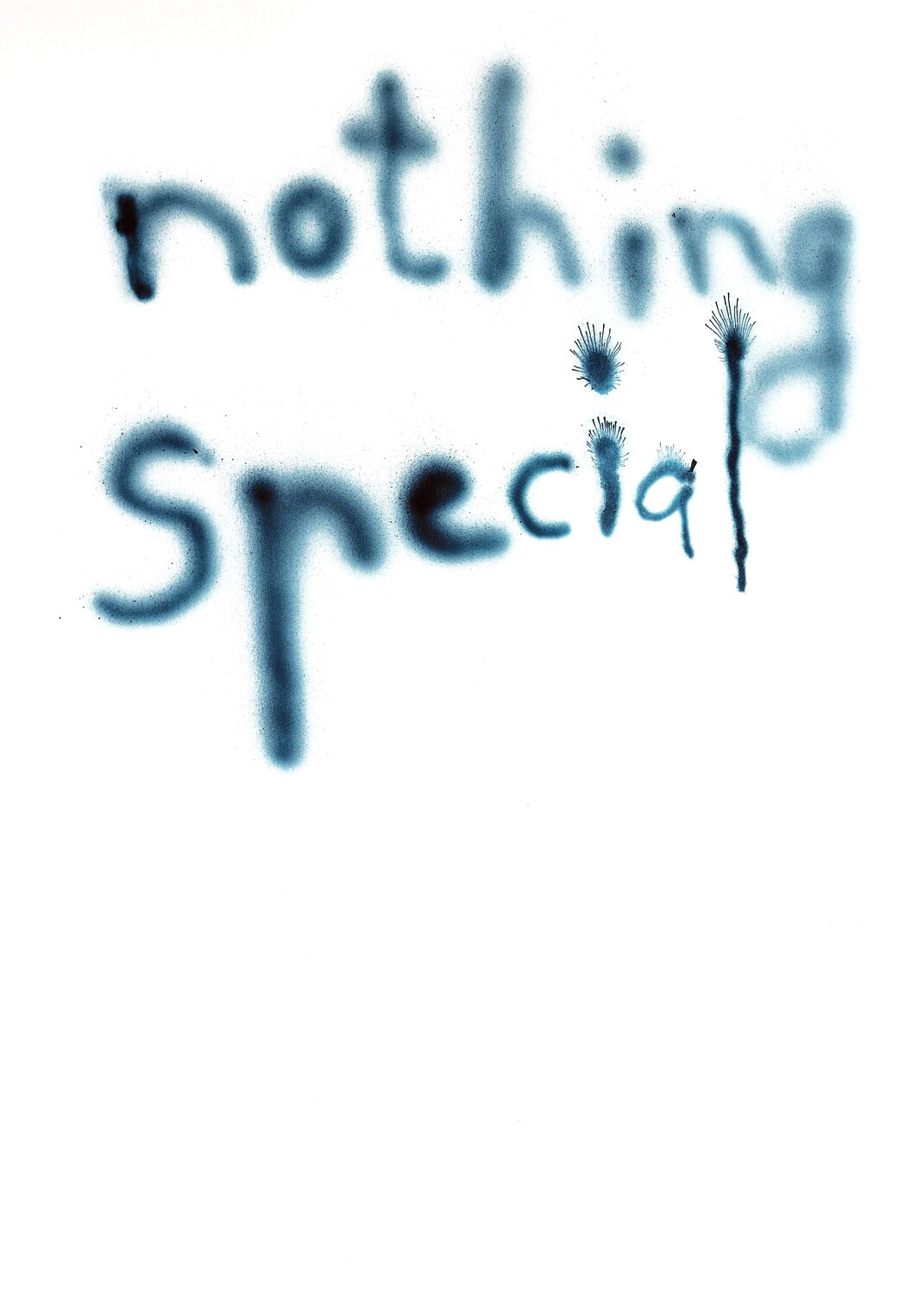 nothing special Kamile Lukrecija Lukosiute
