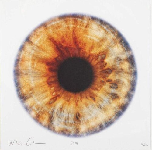 We Share our Chemistry with the Stars Marc Quinn