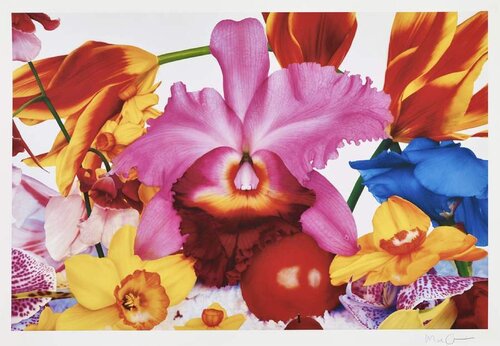 Icelandic Lava Plane van Marc Quinn, Afdruk te koop op Singulart
