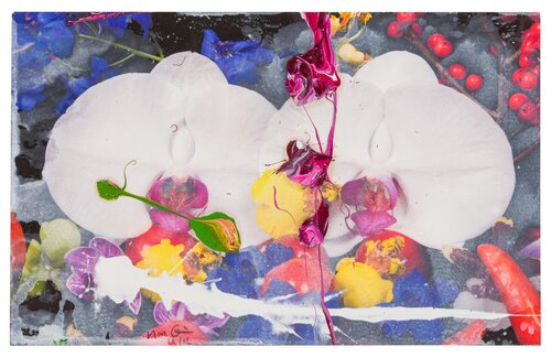Orchids de Marc Quinn, Otros medios a la venta en Singulart