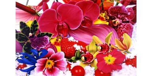 On the Shore of the Orissa van Marc Quinn, Afdruk te koop op Singulart