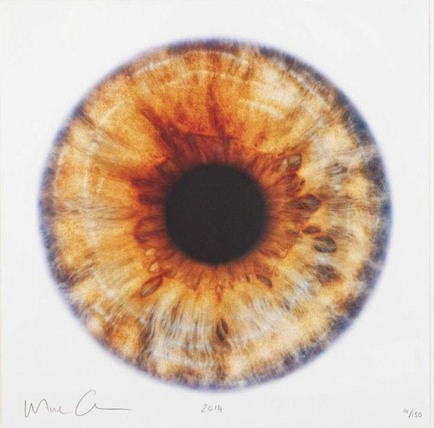 We Share our Chemistry with the Stars Marc Quinn Stampa in vendita