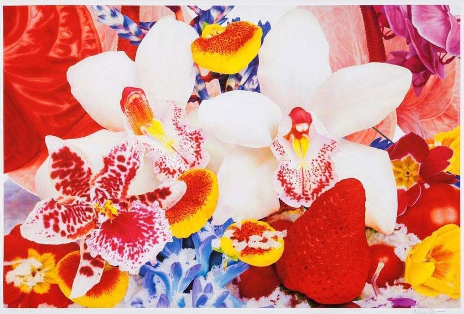 Kuma Mela Marc Quinn Stampa in vendita