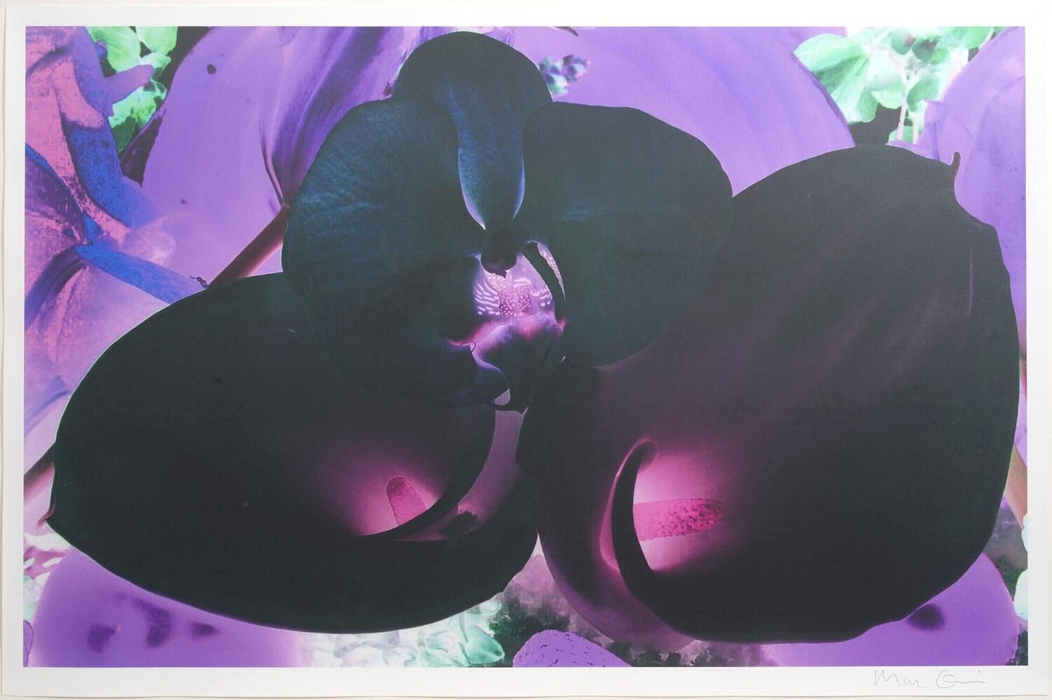 At the Far Edges of the Universe 6 Marc Quinn Druck zu verkaufen