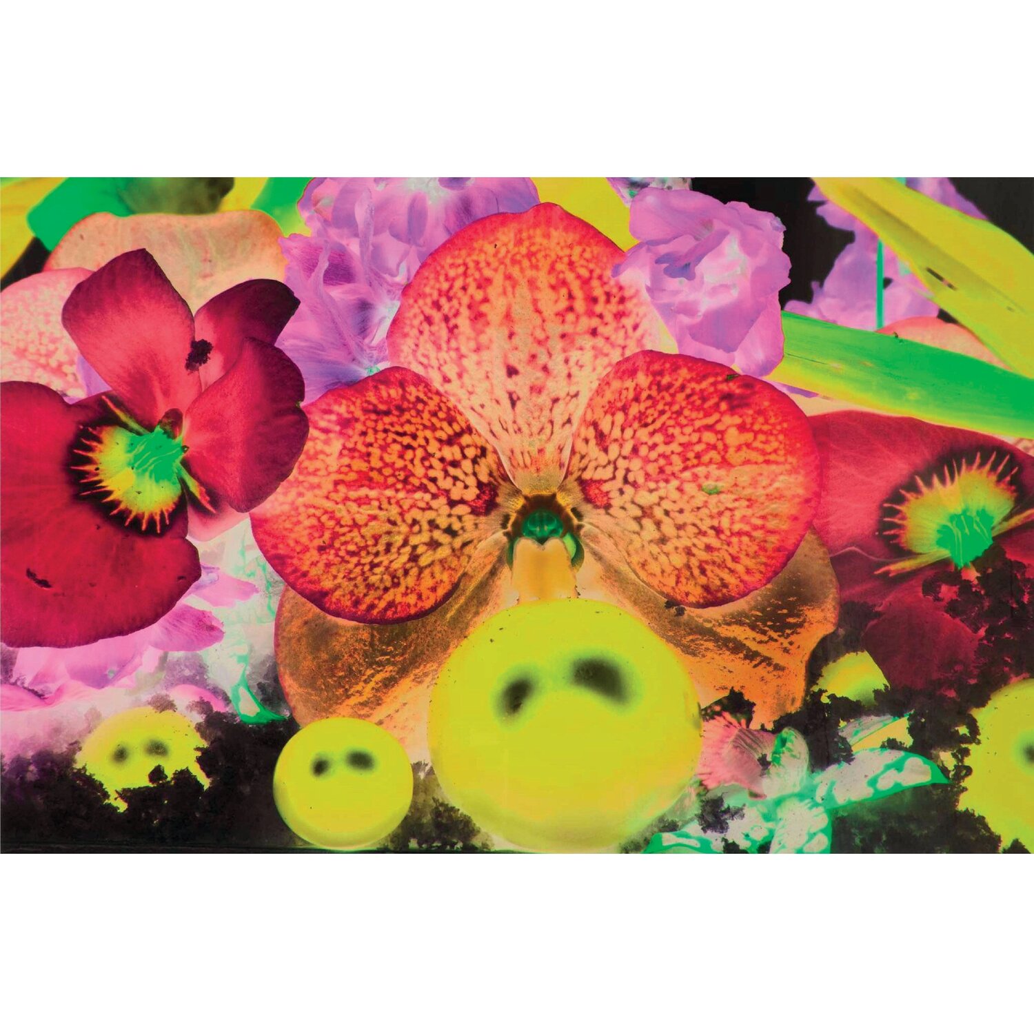 Sepas Mous Marc Quinn Stampa in vendita