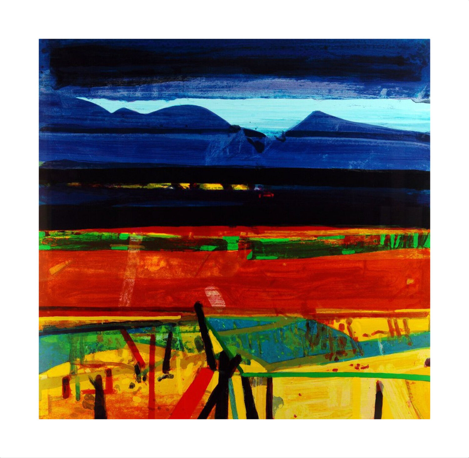 Achill Fence Barbara Rae