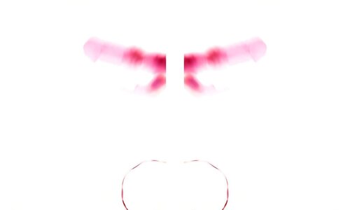 Long Term Survivor: Rabbit Pearl I by Chuck Ramirez, Photography for Sale on Singulart