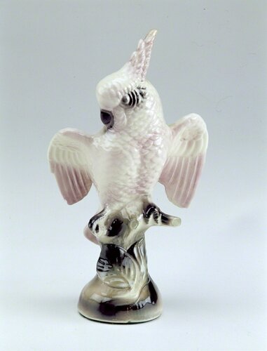 Dust Collection: Pink Cookatoo by Chuck Ramirez, Photography for Sale on Singulart