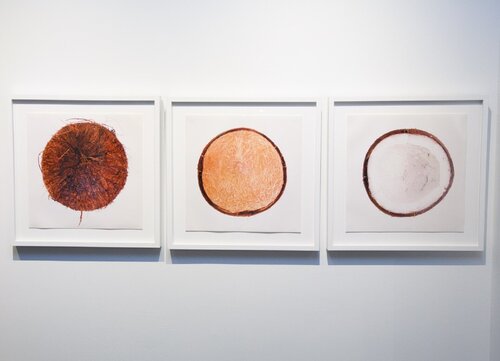 Coconut Series van Chuck Ramirez, Fotografie te koop op Singulart