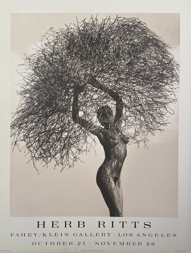 "Neith with Tumbleweed", Very Rare High Quality Black and White Photography and Varnish Poster from the Fahey/Klein Gallery, FREE DOMESTIC SHIPPING van Herb Ritts, Afdruk te koop op Singulart