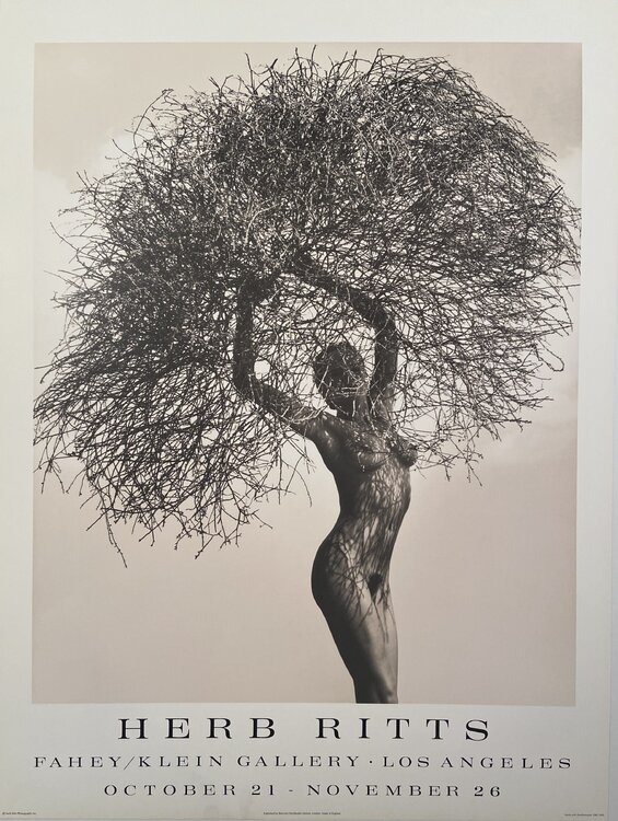 "Neith with Tumbleweed", Very Rare High Quality Black and White Photography and Varnish Poster from the Fahey/Klein Gallery, FREE DOMESTIC SHIPPING Herb Ritts
