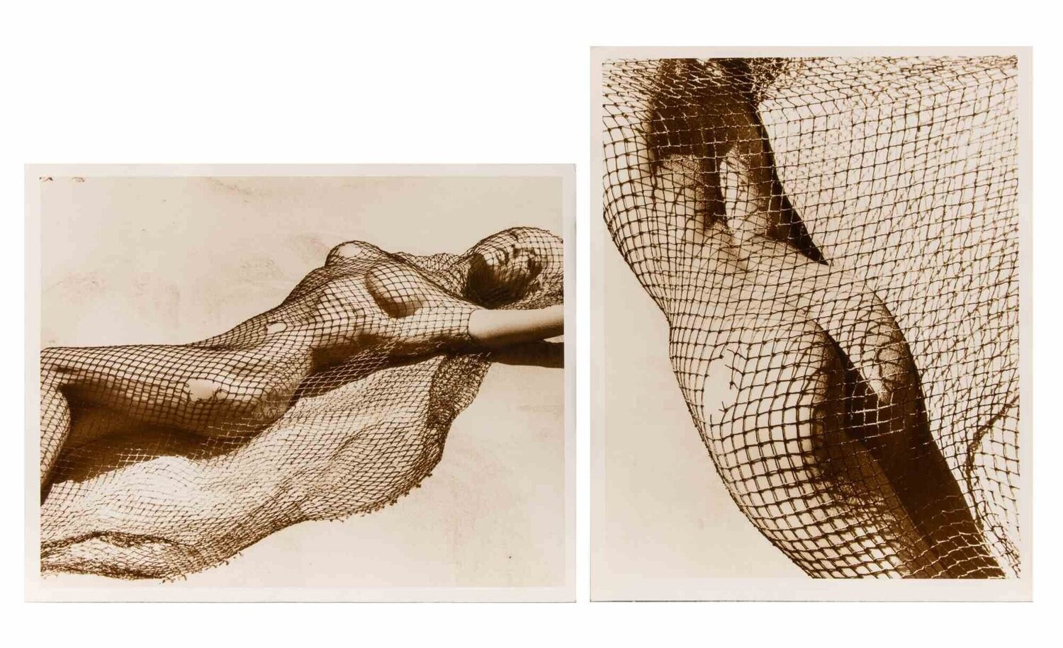 Brigitte Nielsen for Herb Ritts Herb Ritts Photography for sale