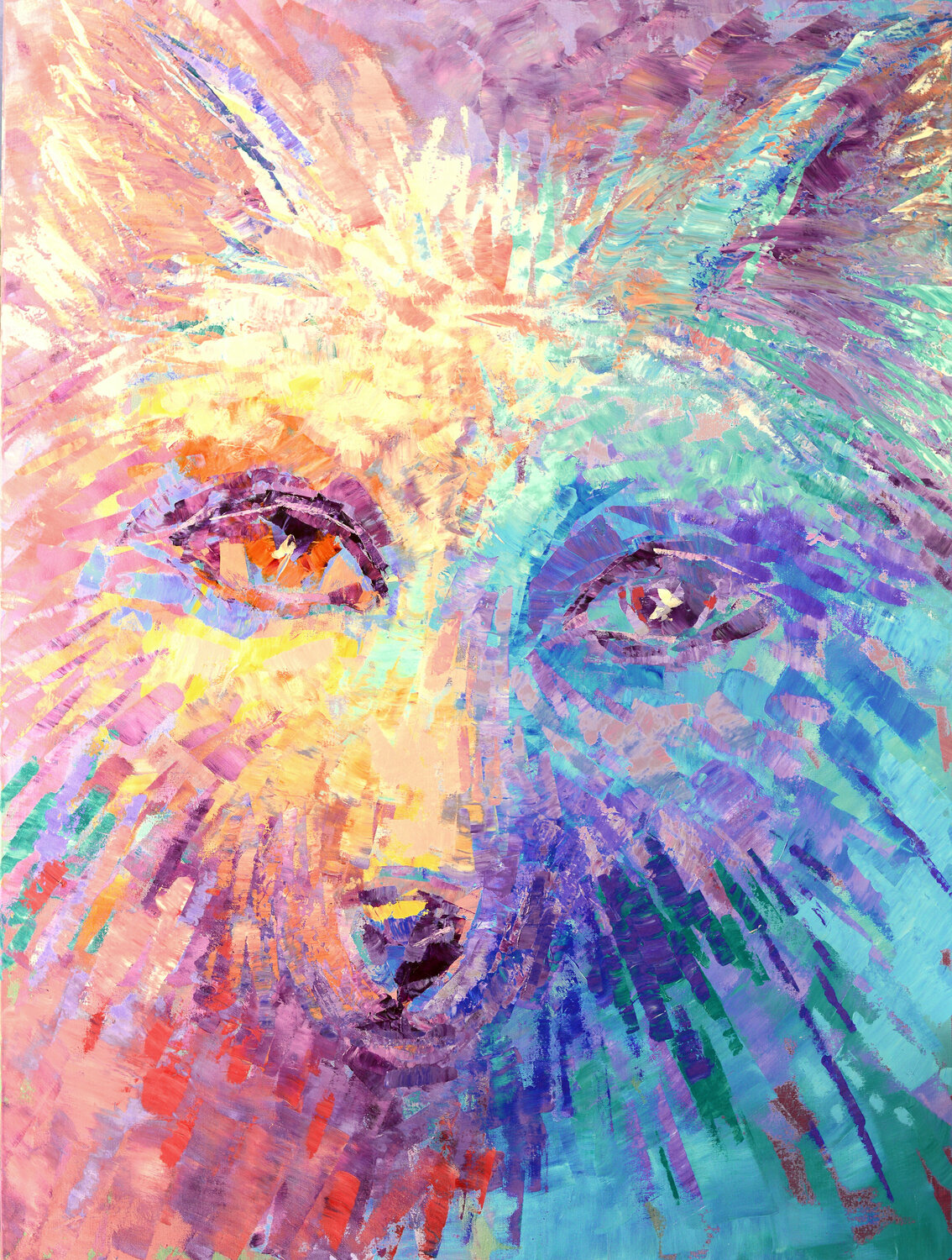 ARCTIC EYES Tatiana Iliina