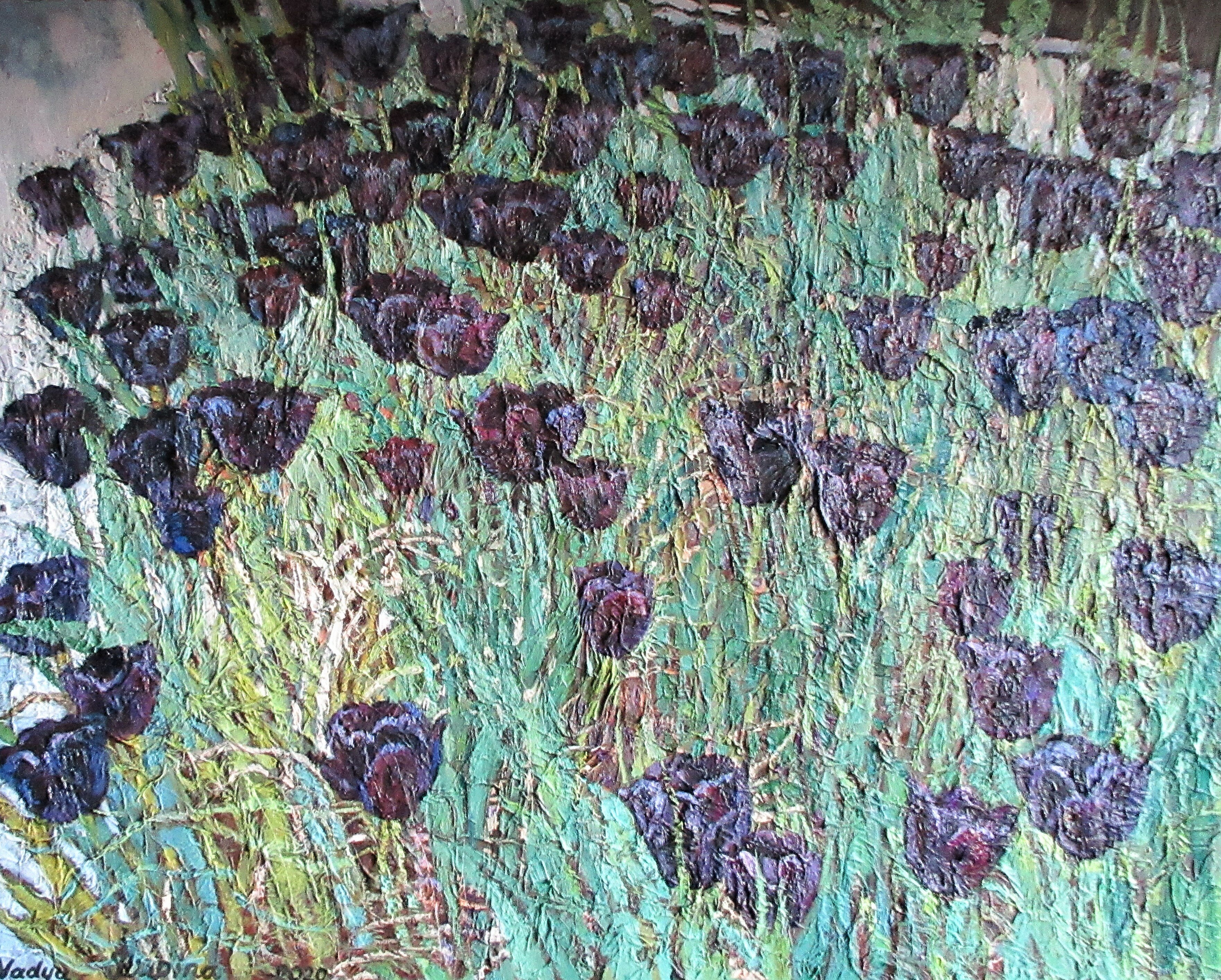 Black tulips