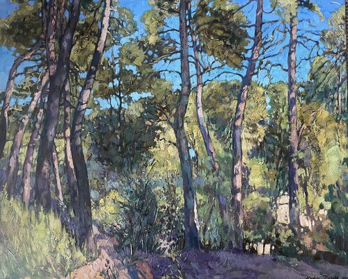 Sunlit pines Nadezda Stupina