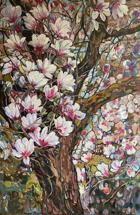 Blooming magnolia Nadezda Stupina