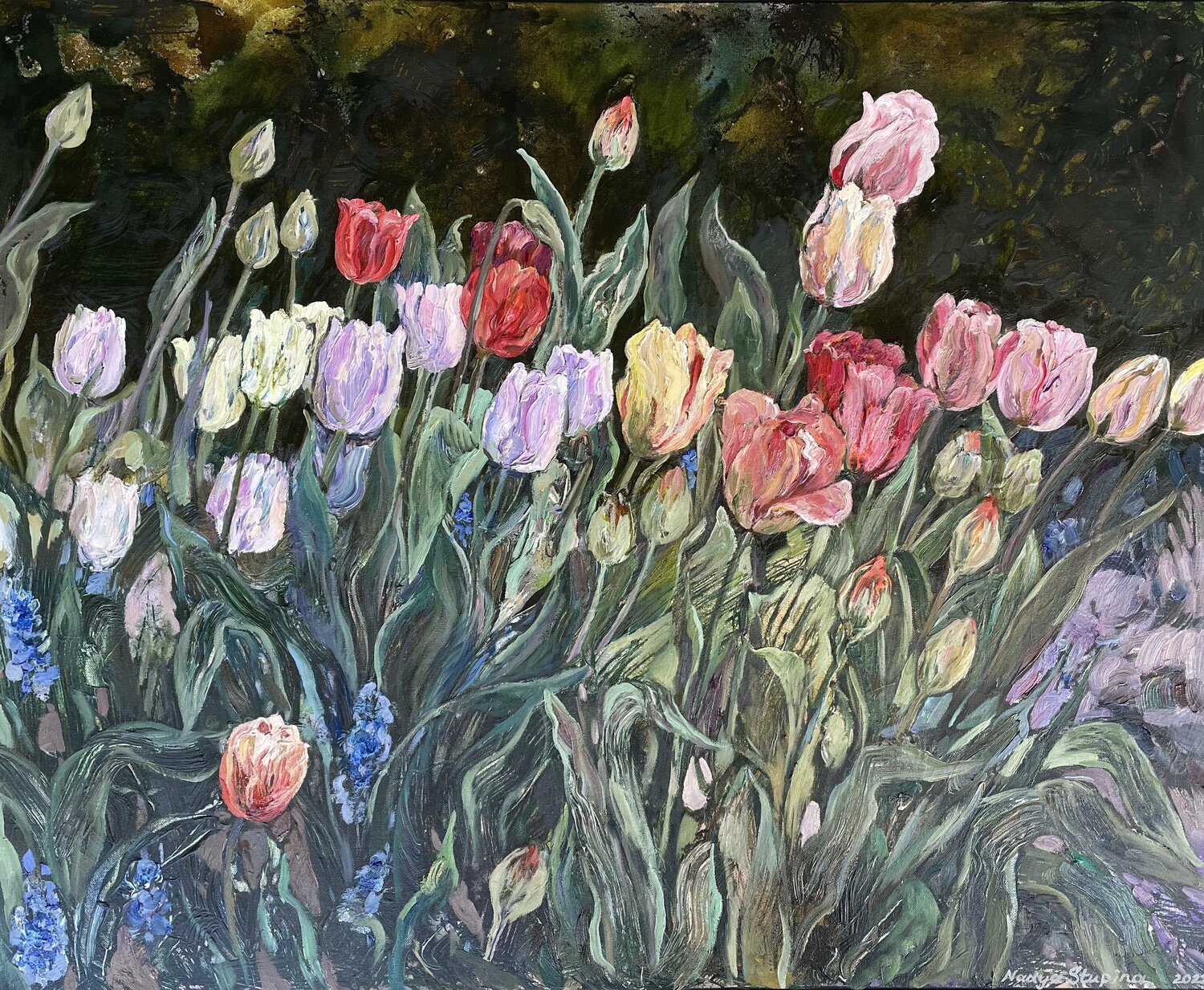 May tulips Nadezda Stupina