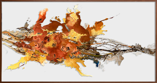 Fluid Light S12 Isabelle Fournet