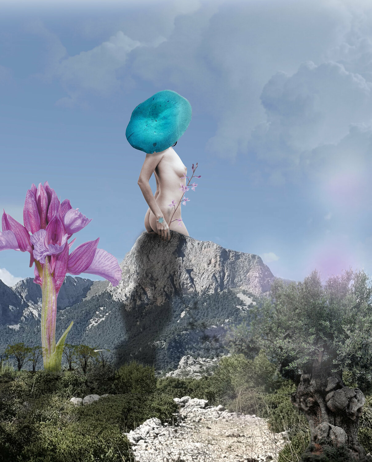Songes et souvenirs II Isabelle Fournet Fotografie zu verkaufen