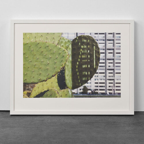 Cactus Score by Anri Sala, Print for Sale on Singulart