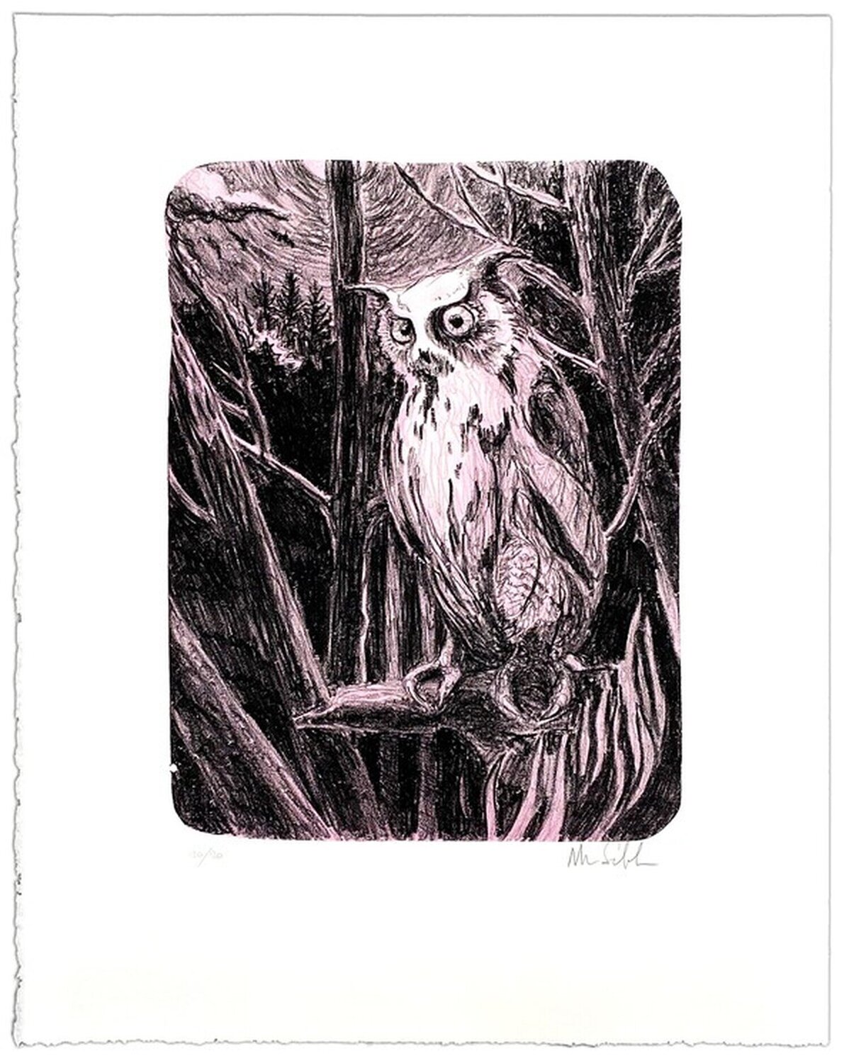 Night Owl Morten Schelde