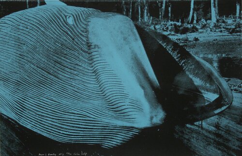 Power and Beauty No. 2 di Colin Self, Stampa in vendita su Singulart