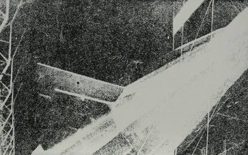 Power and Beauty-Unique Print No. 2 di Colin Self, Stampa in vendita su Singulart