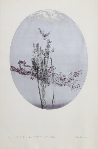 Out of Poems Object and Flowers 3 (The 1940s) van Colin Self, Afdruk te koop op Singulart