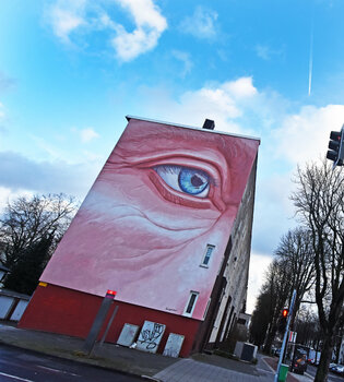 Big Brother is watching us Grégory Herpe