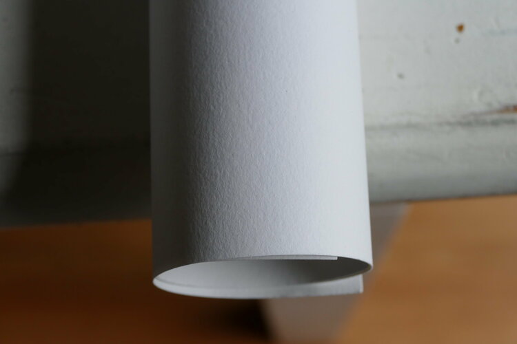 Big Brother is watching us Grégory Herpe