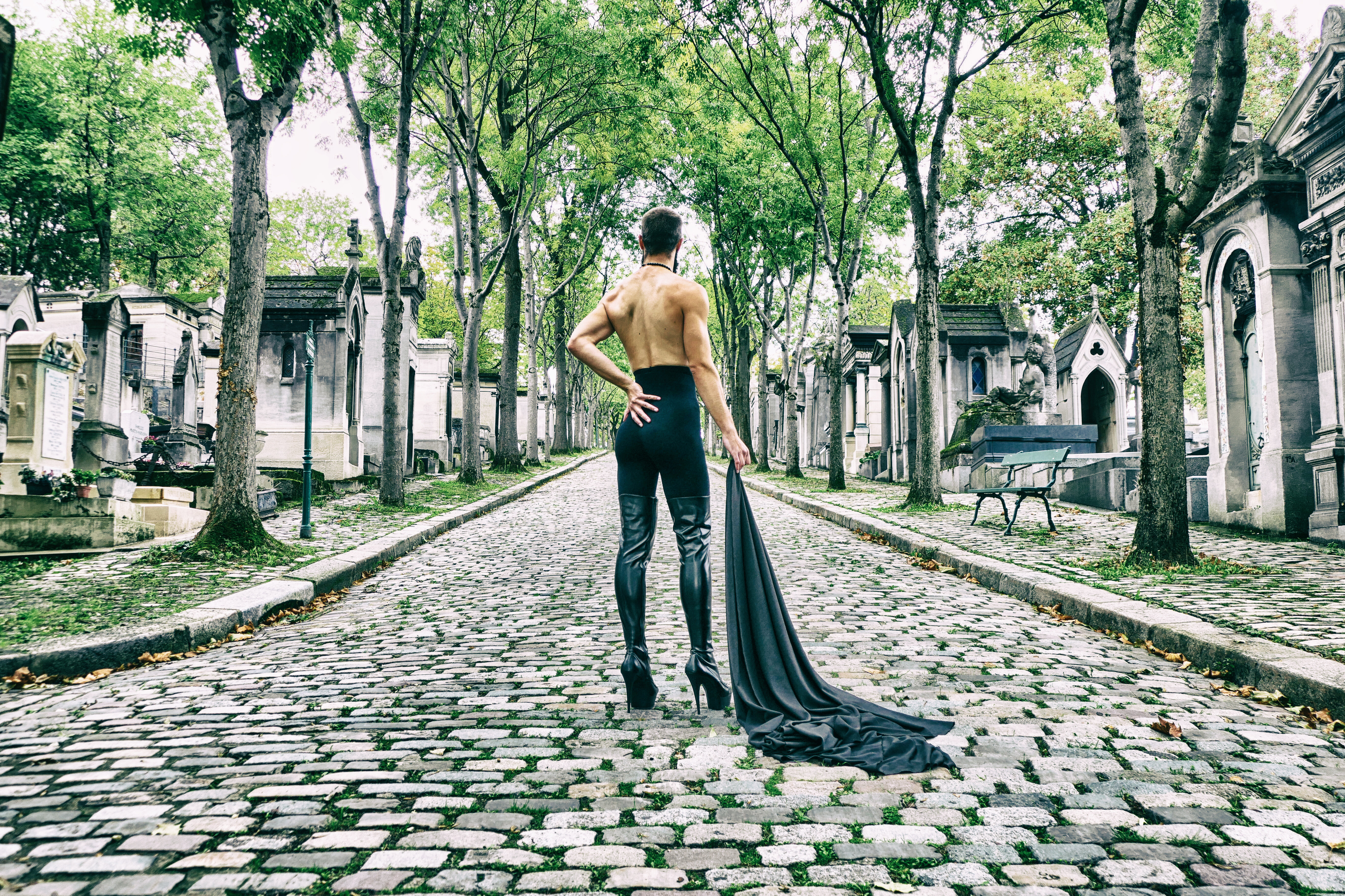 Des arbres et des hommes