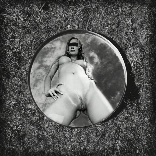 A Star in the Sky Grégory Herpe