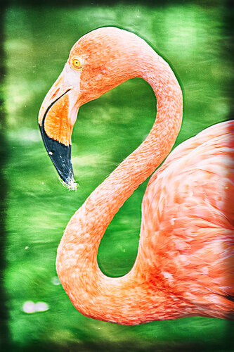 The Pink Duchess von Grégory Herpe, Fotografie kaufen auf Singulart