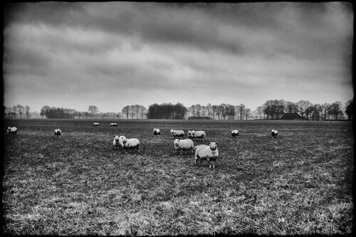 The Truth is Out There Grégory Herpe