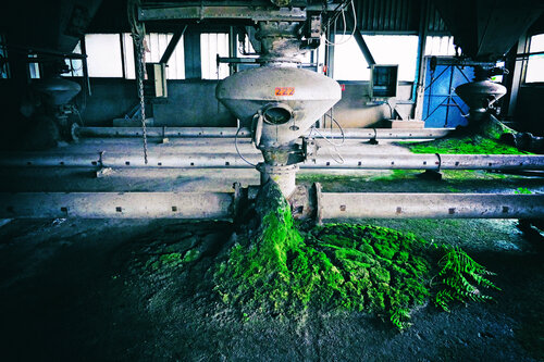 The Lost Alien Spaceship par Grégory Herpe, Photographie en vente sur Singulart