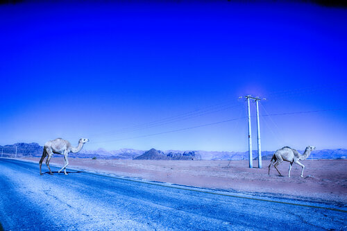 I saw your Camel Toe Grégory Herpe