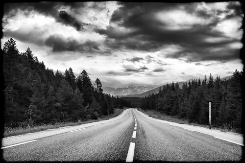 Road to Twin Peaks Grégory Herpe