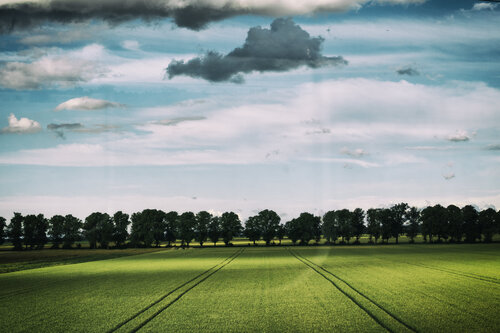 A Polish landscape that reminds me of Chopin Grégory Herpe