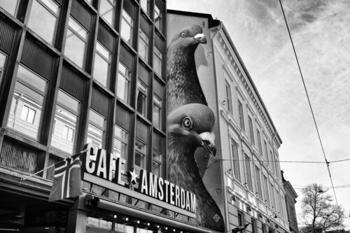 From Amsterdam to Oslo, 2 pigeons were pecking at hard bread de Grégory Herpe, Fotografía a la venta en Singulart