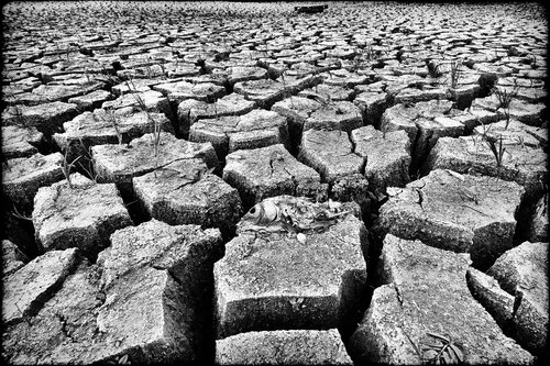 The Waterland Grégory Herpe
