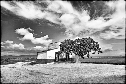 No wifi here van Grégory Herpe, Fotografie te koop op Singulart