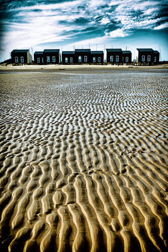 Snakes in the sand di Grégory Herpe, Fotografia in vendita su Singulart