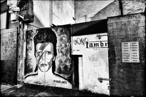 Loving Bowie Grégory Herpe