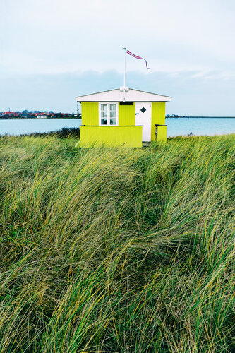 Crossing the High Grass di Grégory Herpe, Fotografia in vendita su Singulart