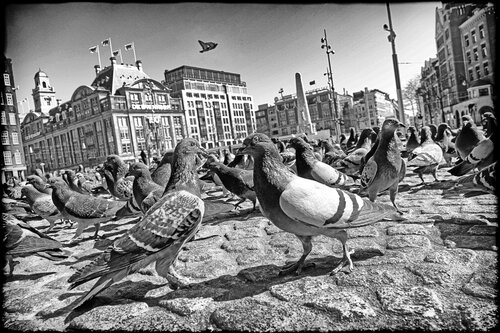 People from Amsterdam Grégory Herpe