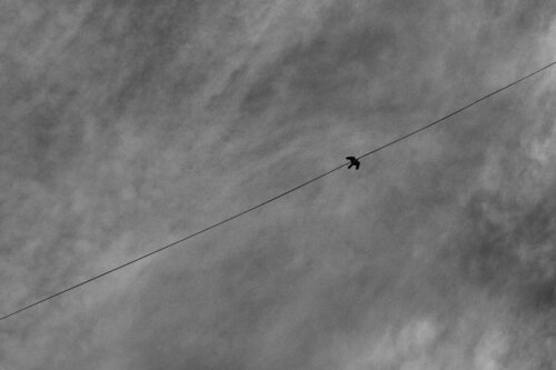 The Bucharest sky Grégory Herpe